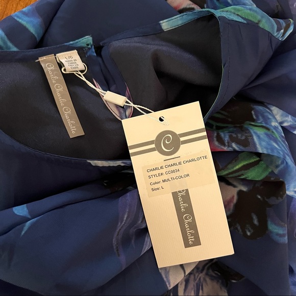 Charlie Charlie Charlotte Blue Multicolor Floral Print Cottagecore dress size L - Picture 6 of 12